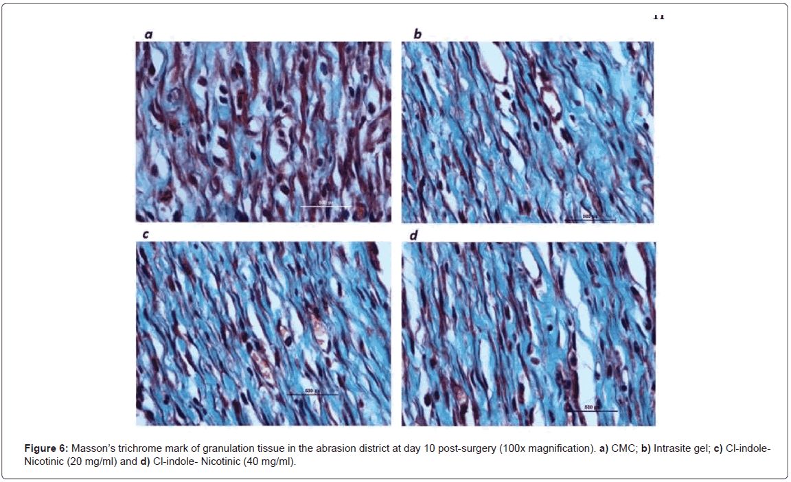 Drug-Development-Research-surgery