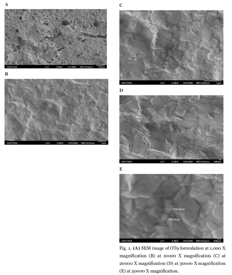 Drug-Development-SEM-image