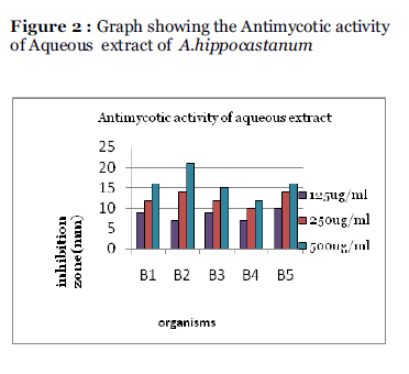 Drug-Development-activity