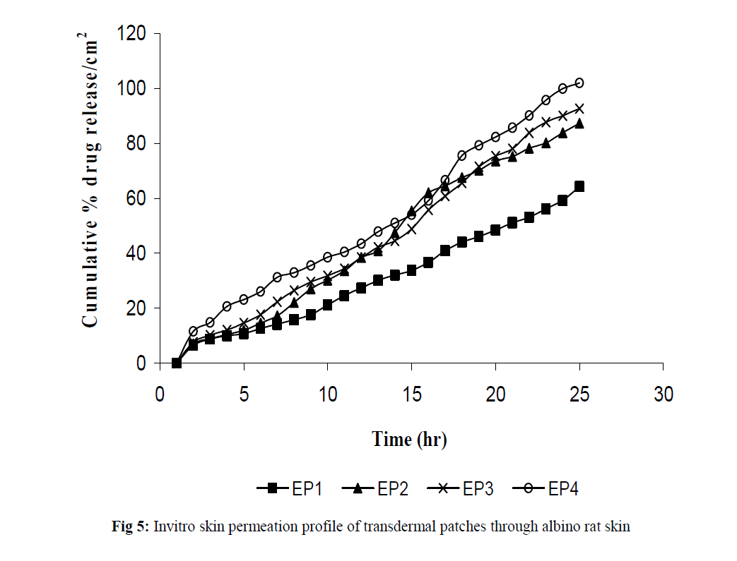 Drug-Development-rat-skin