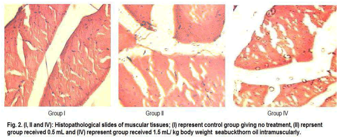 Drug-Development-total-pathological