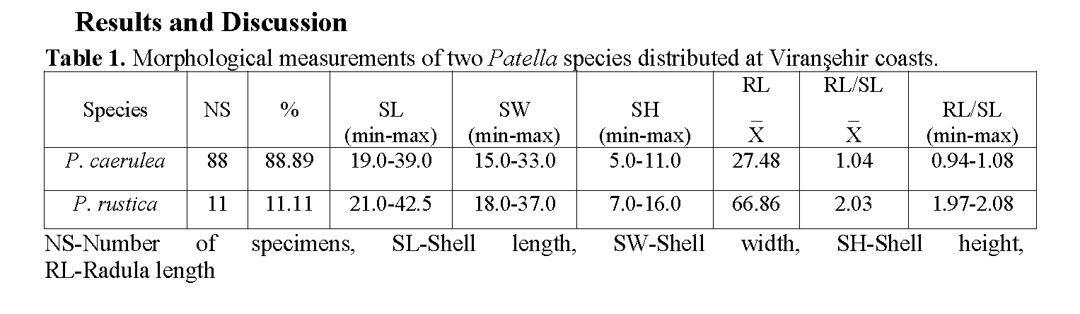 Fisheries-Sciences-Morphological-measurements-two-Patella-species