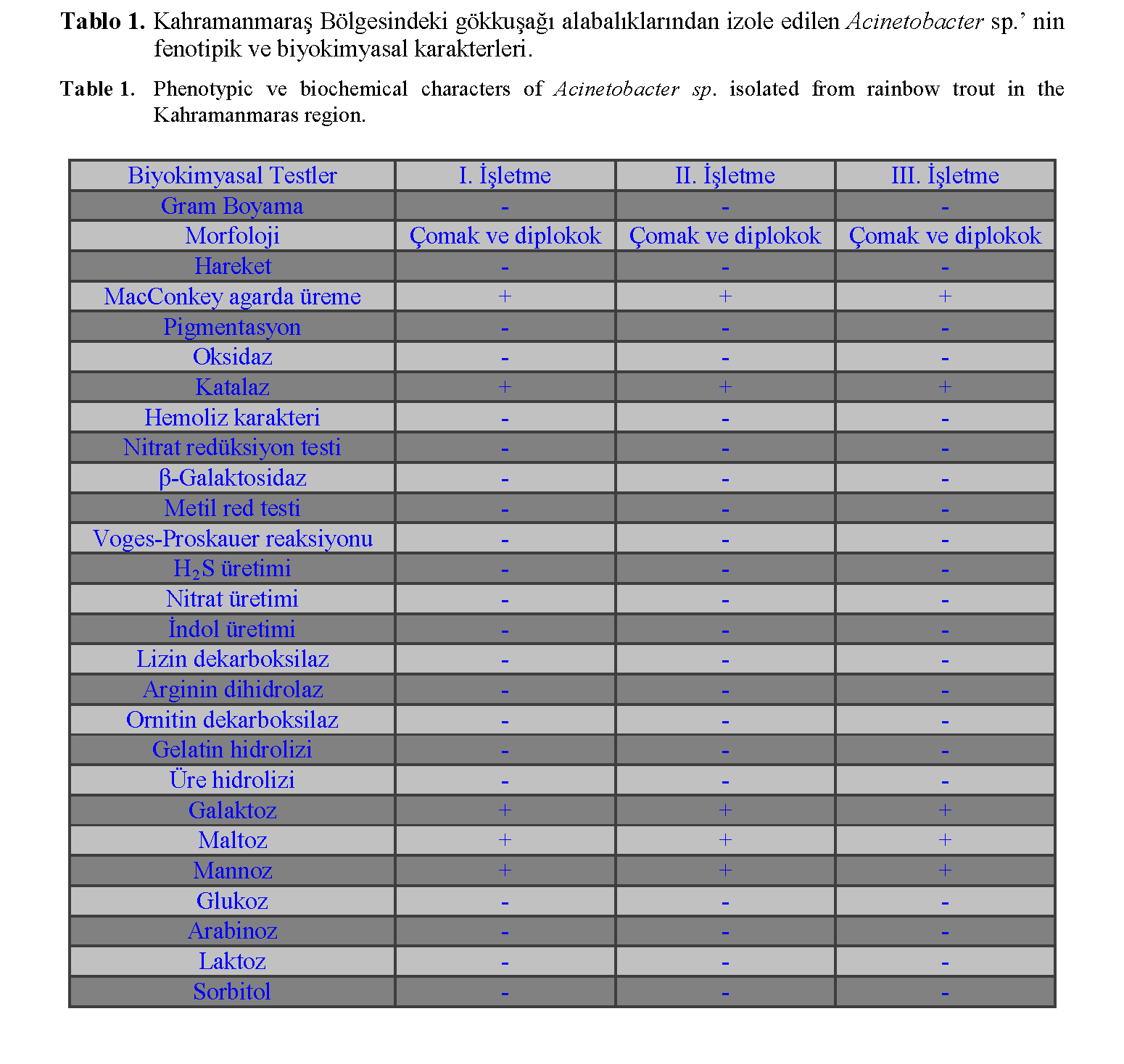 Fisheries-Sciences-Phenotypic-ve-biochemical-characters-Acinetobacter-sp-isolated