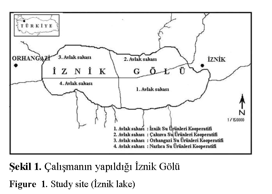 Fisheries-Sciences-Study-site-Iznik-lake