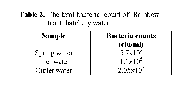 Fisheries-Sciences-The-total-bacterial-count-Rainbow-trout-hatchery-water