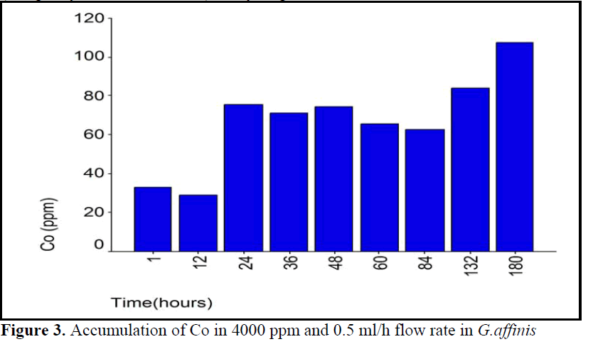 FisheriesSciences-Accumulation-Co