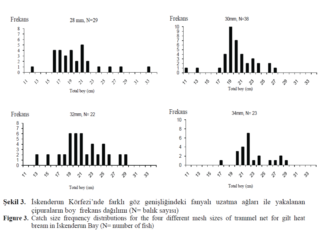 FisheriesSciences-Catch-size-frequency