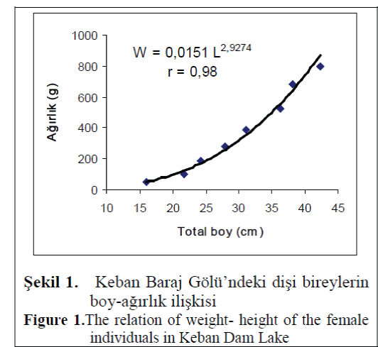 FisheriesSciences-Keban-Dam-Lake