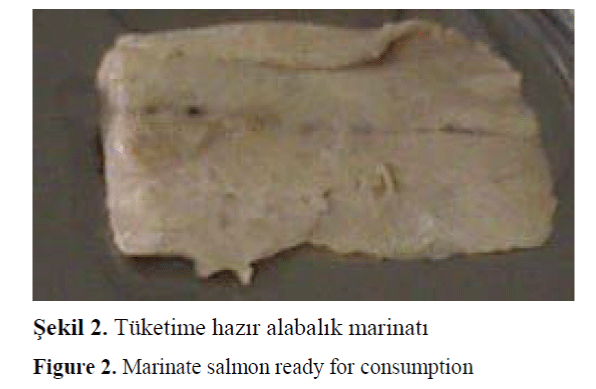 FisheriesSciences-Marinate-salmon