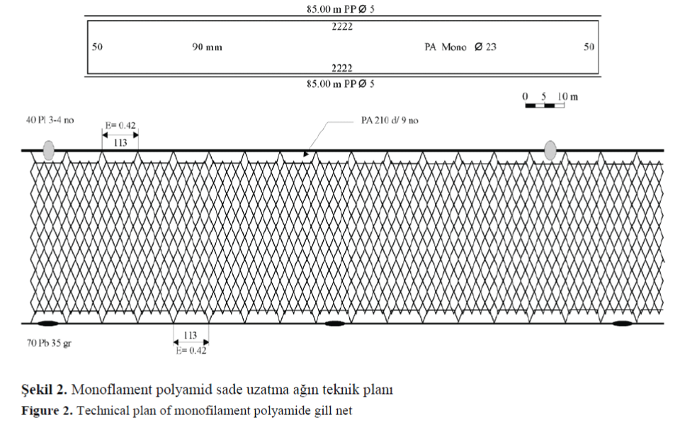 FisheriesSciences-Technical-plan