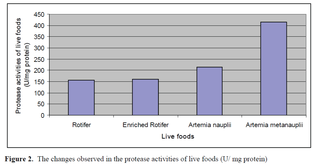 FisheriesSciences-activities-live-foods