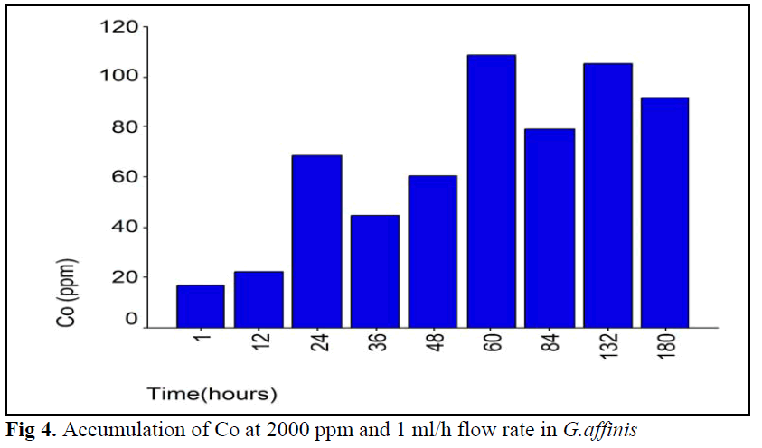 FisheriesSciences-flow-rate-G-affinis