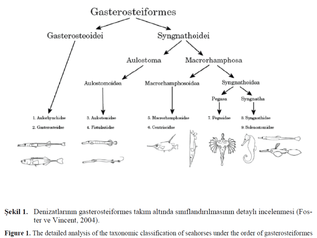 FisheriesSciences-taxonomic-classification