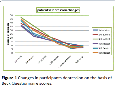 HSJ-Beck-Questionnaire-scores