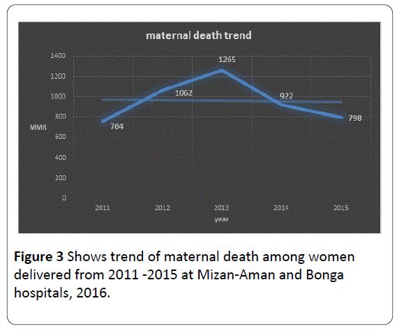 HSJ-trend-maternal-death-women-Bonga
