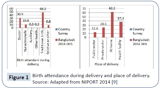 Health-Systems-Birth-attendance-delivery