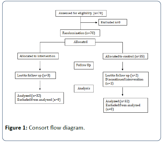 Health-Systems-Consort