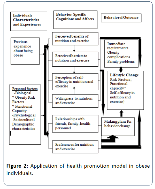 Health-Systems-Consort