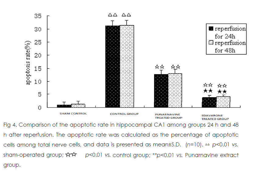 International-Journal-apoptotic-rate