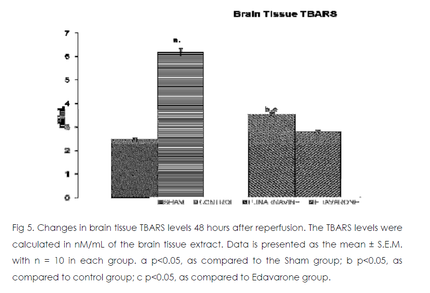 International-Journal-brain-tissue