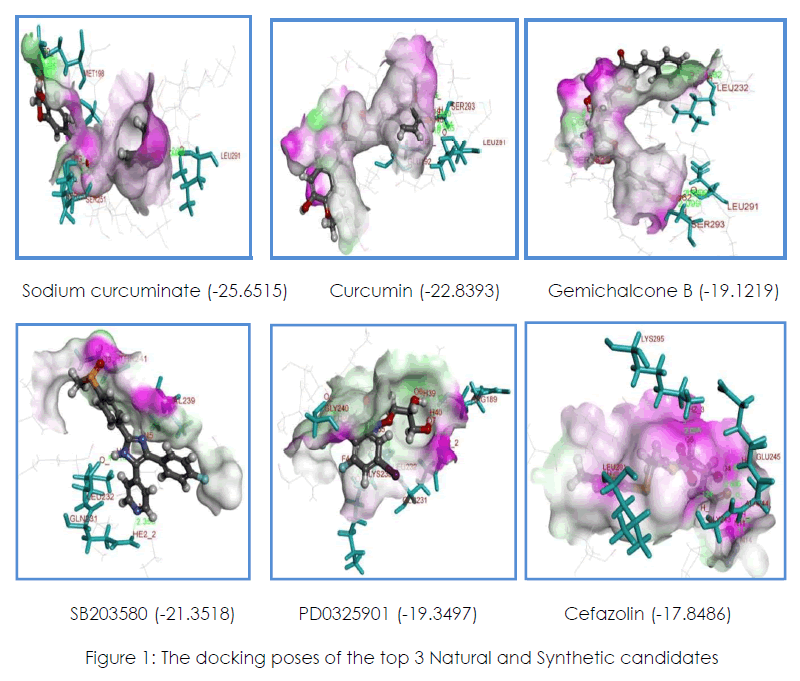 International-Journal-docking-poses