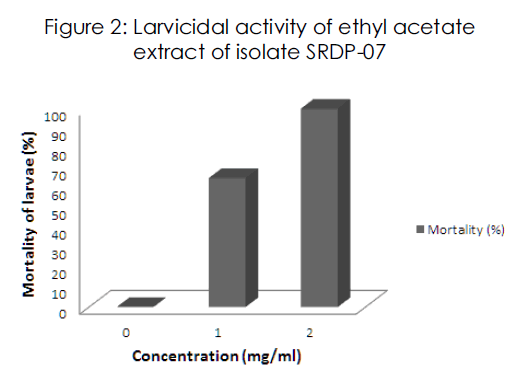 International-Journal-ethyl-acetate