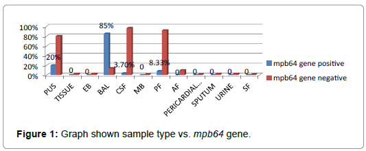 International-Journal-graph-shown-sample