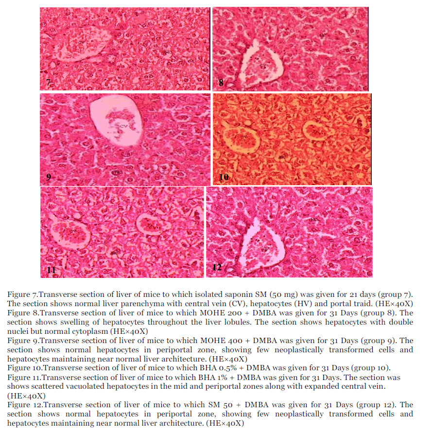 International-Journal-isolated-saponin