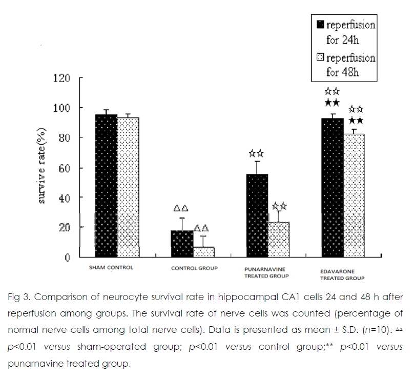 International-Journal-neurocyte-survival
    