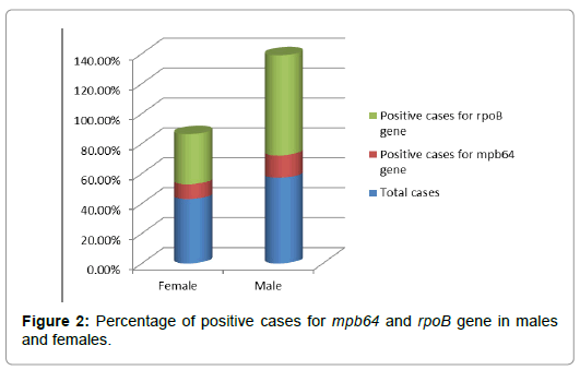 International-Journal-positive-cases