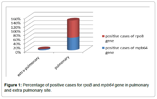 International-Journal-pulmonary-site