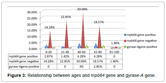 International-Journal-relationship-between-ages