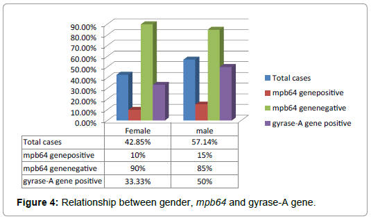 International-Journal-relationship-between-gender