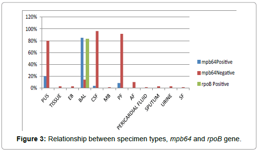 International-Journal-specimen-types