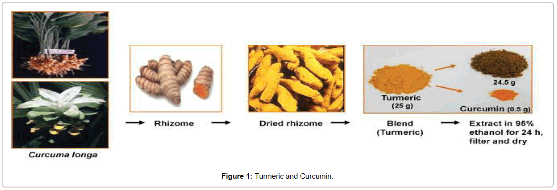 International-Journal-turmeric-curcumin