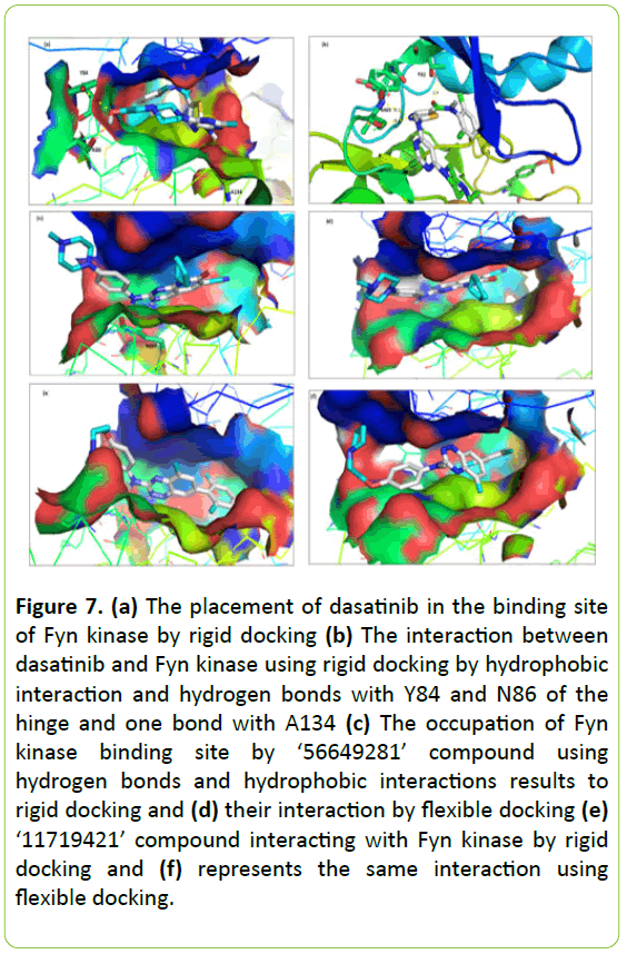 Molecular-Enzymology-binding-site