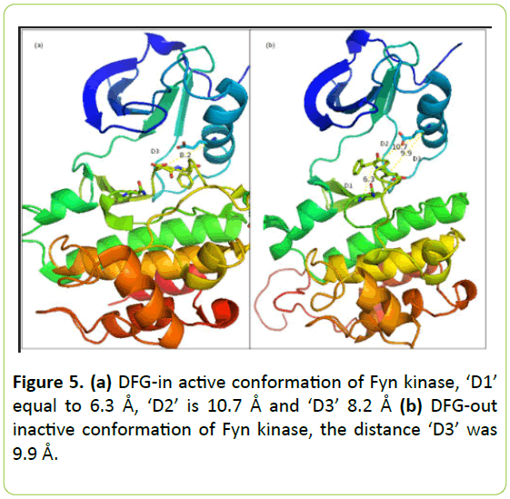 Molecular-Enzymology-conformation-Fyn-kinase