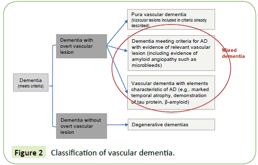 Neurology-Neuroscien-Classification