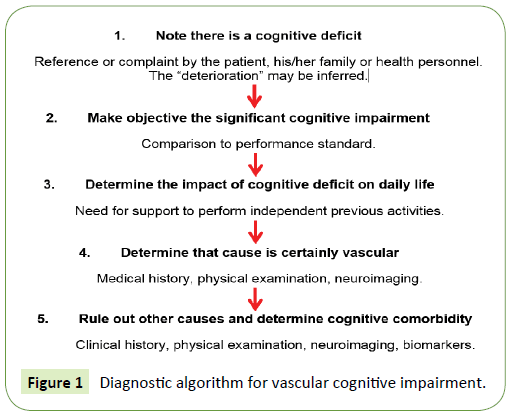Neurology-Neuroscien-Diagnostic-algorithm
