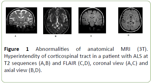 Neurology-Neuroscien-anatomical