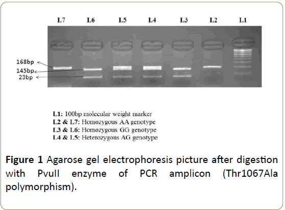 Neurology-Neuroscien-electrophoresis