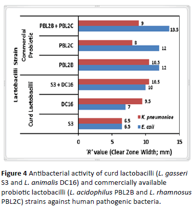 Antibacterial-activity-curd