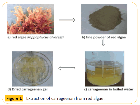 Translational-Biomedicine-Extraction