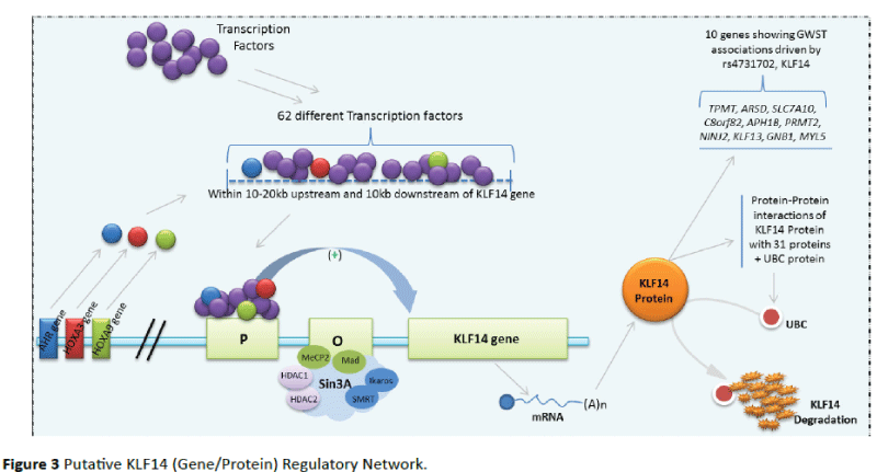 Translational-Biomedicine-Gene-Protein