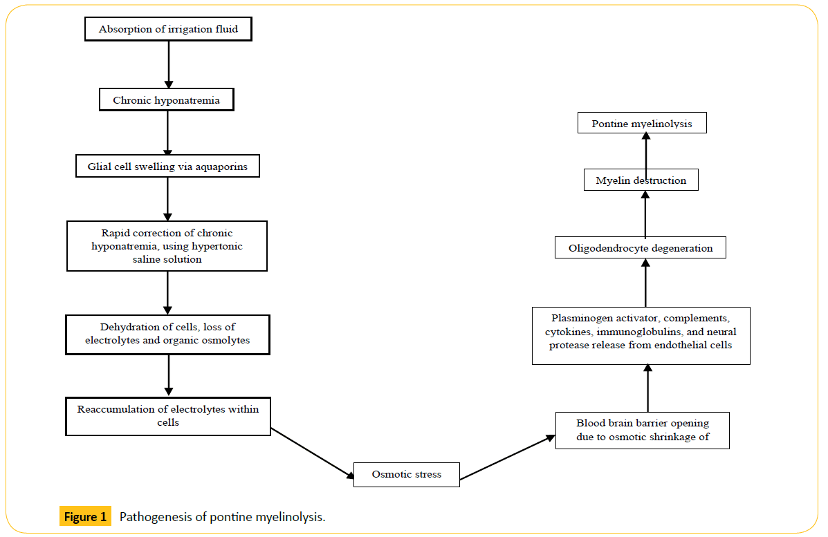 Translational-Biomedicine-Pathogenesis