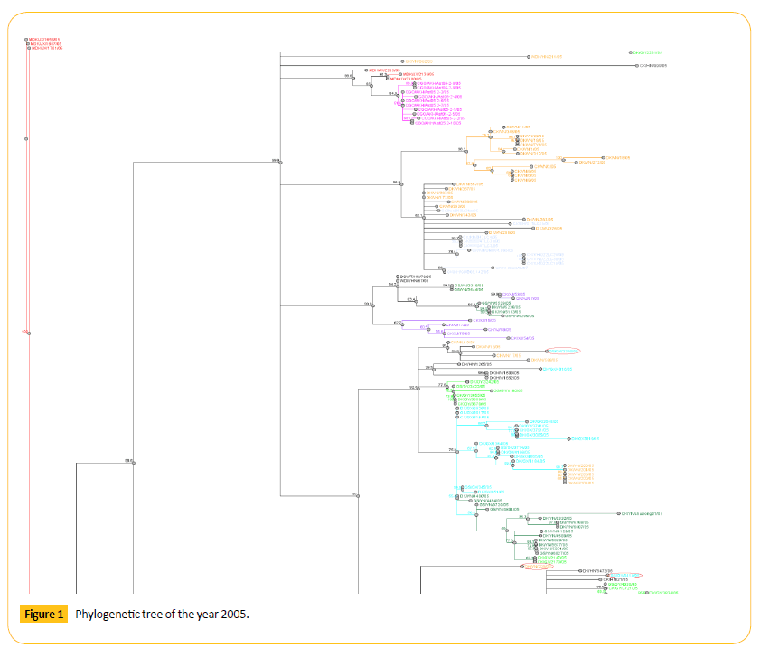 Translational-Biomedicine-Phylogenetic