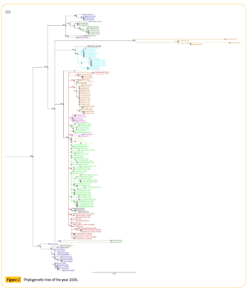 Translational-Biomedicine-Phylogenetic-tree