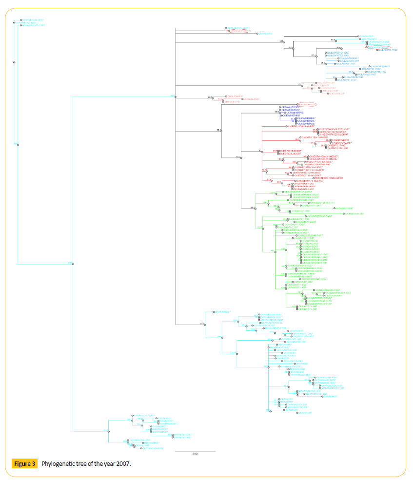 Translational-Biomedicine-Phylogenetic-year