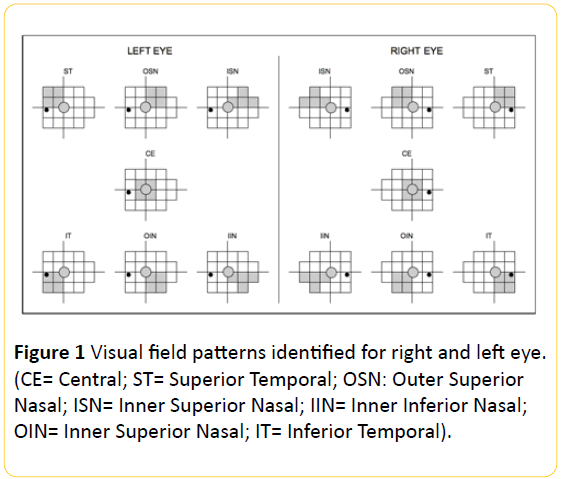 Translational-Biomedicine-Visual-Central-Temporal