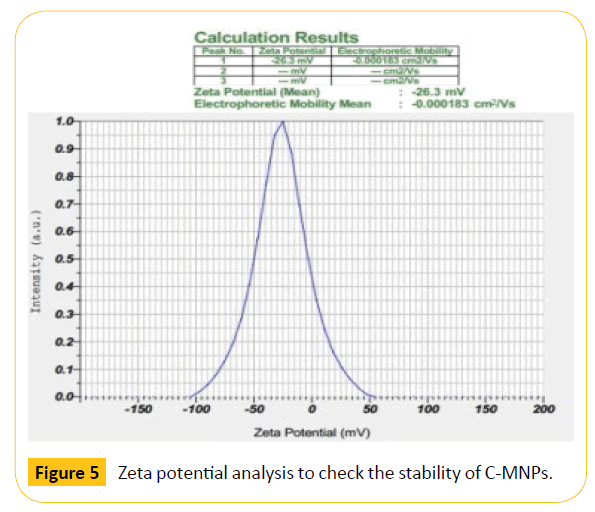 Translational-Biomedicine-Zeta-potential